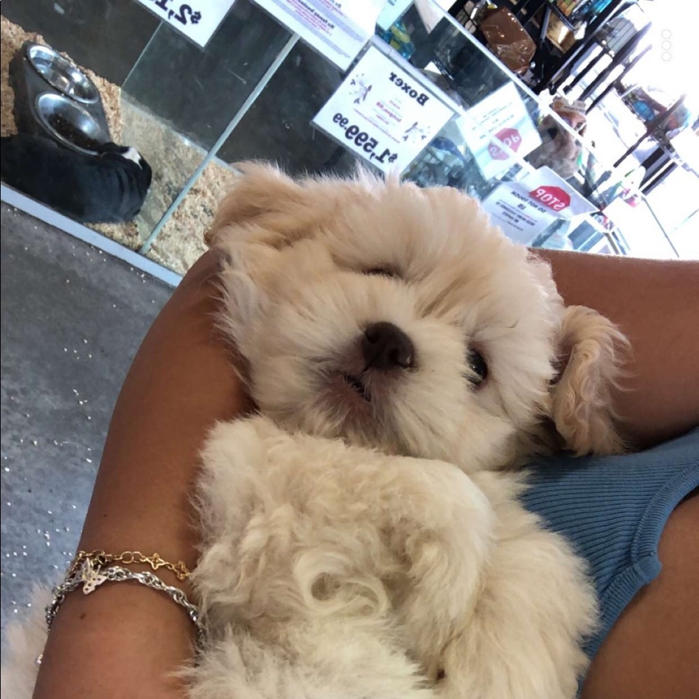 Meet your Posher, Lisa